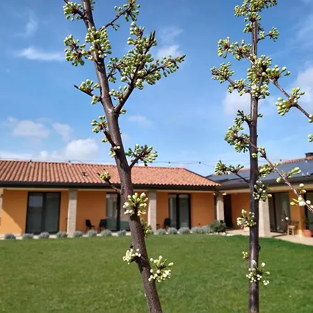 Agriturismo Verdecielo Padova Room photo